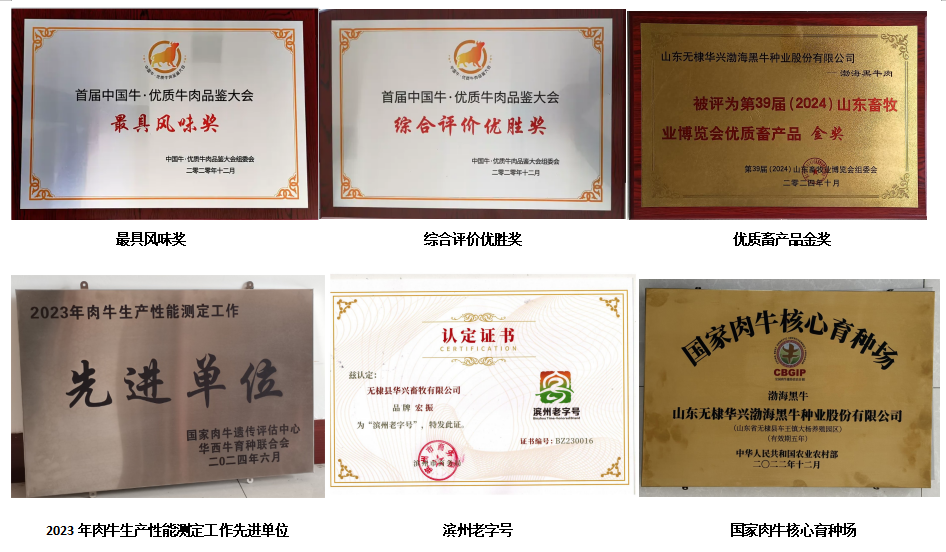 奖.jpg